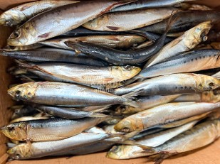 Сыр Чечил паутинка (краб)  500 гр.: Сельдь Иваси х\к